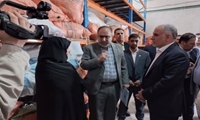 بازدید وزیر دادگستری از انبارهای اموال تملیکی همدان